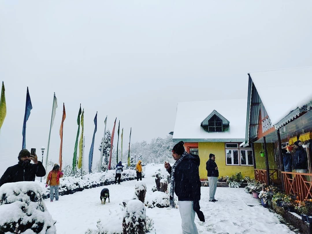 roya-barsey-homestay